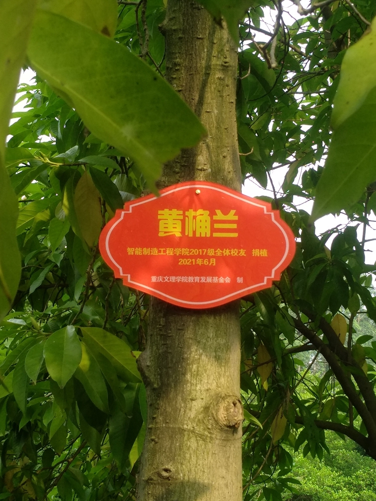 校友树.jpg