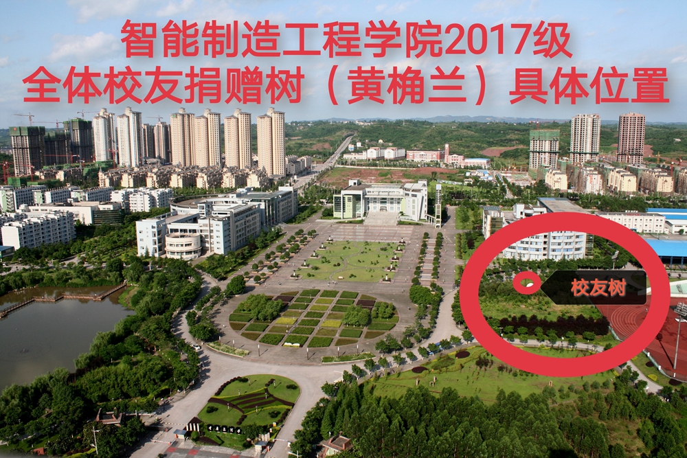 校友树-照片.jpg