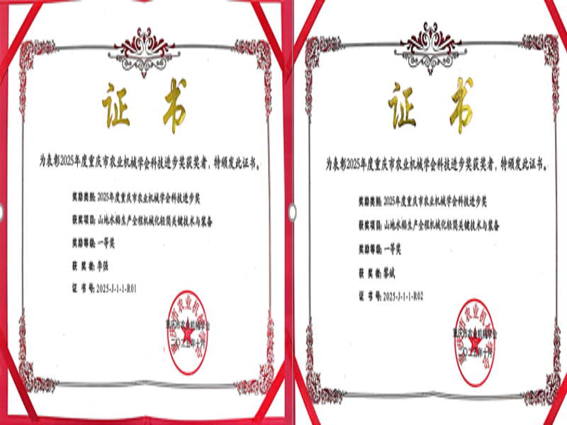 OZXc_1761102923537038976.png